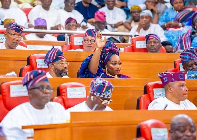 Hon Omolara Oyekan-Olumegbon raises a hand during a session of the Lagos House of Assembly. Credit: Omolara Oyekan-Olumegbon / Instagram